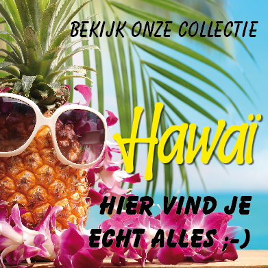 Suzanne's Feestshop Hawaii