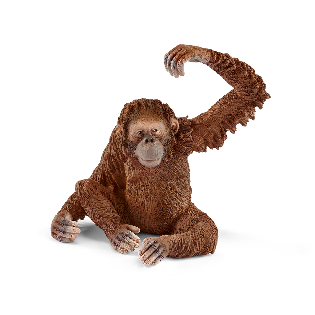 SCHLEICH 14775 ORANG-OETAN, VROUWTJE