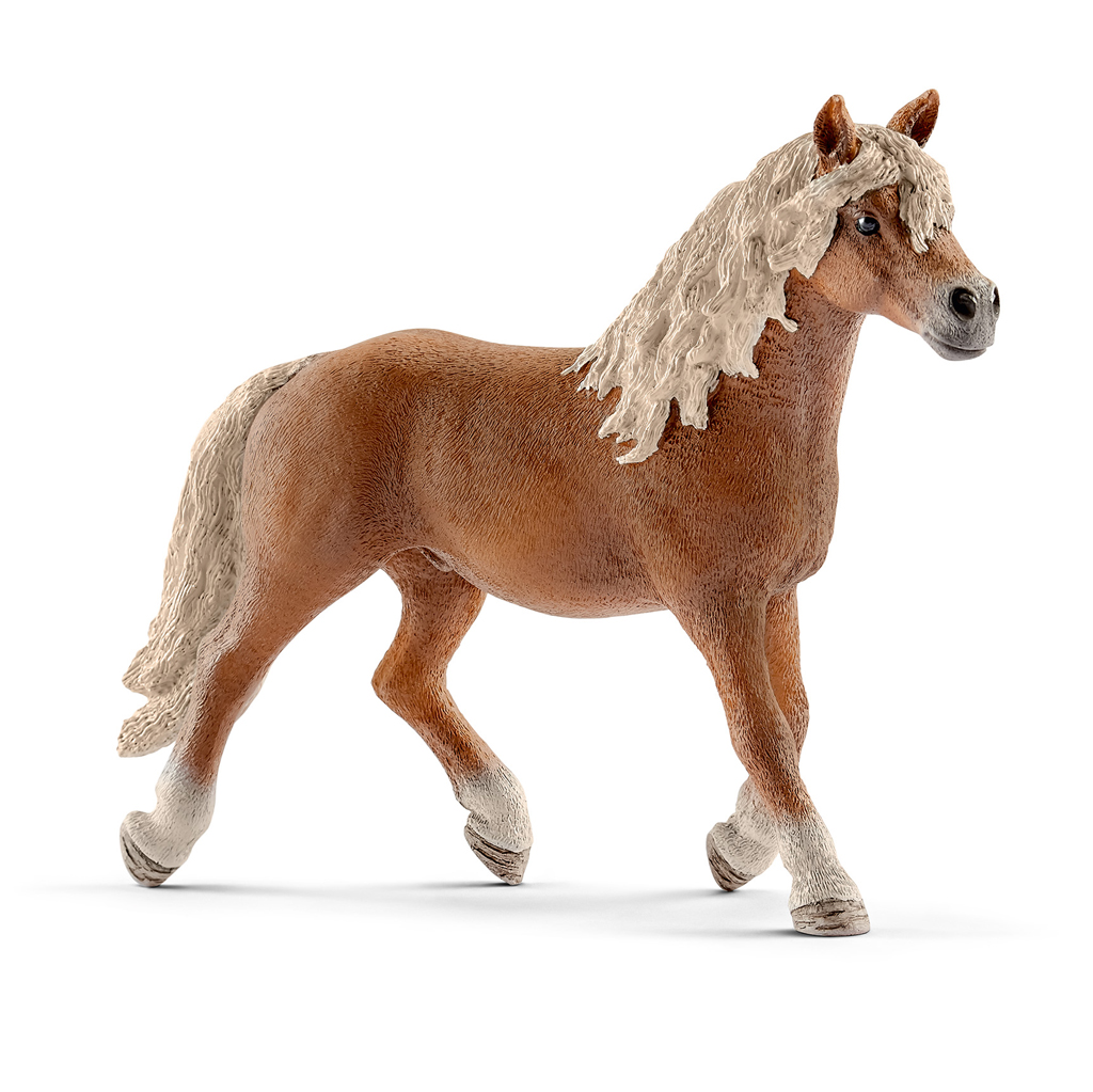 SCHLEICH 13813 HAFLINGER HENGST