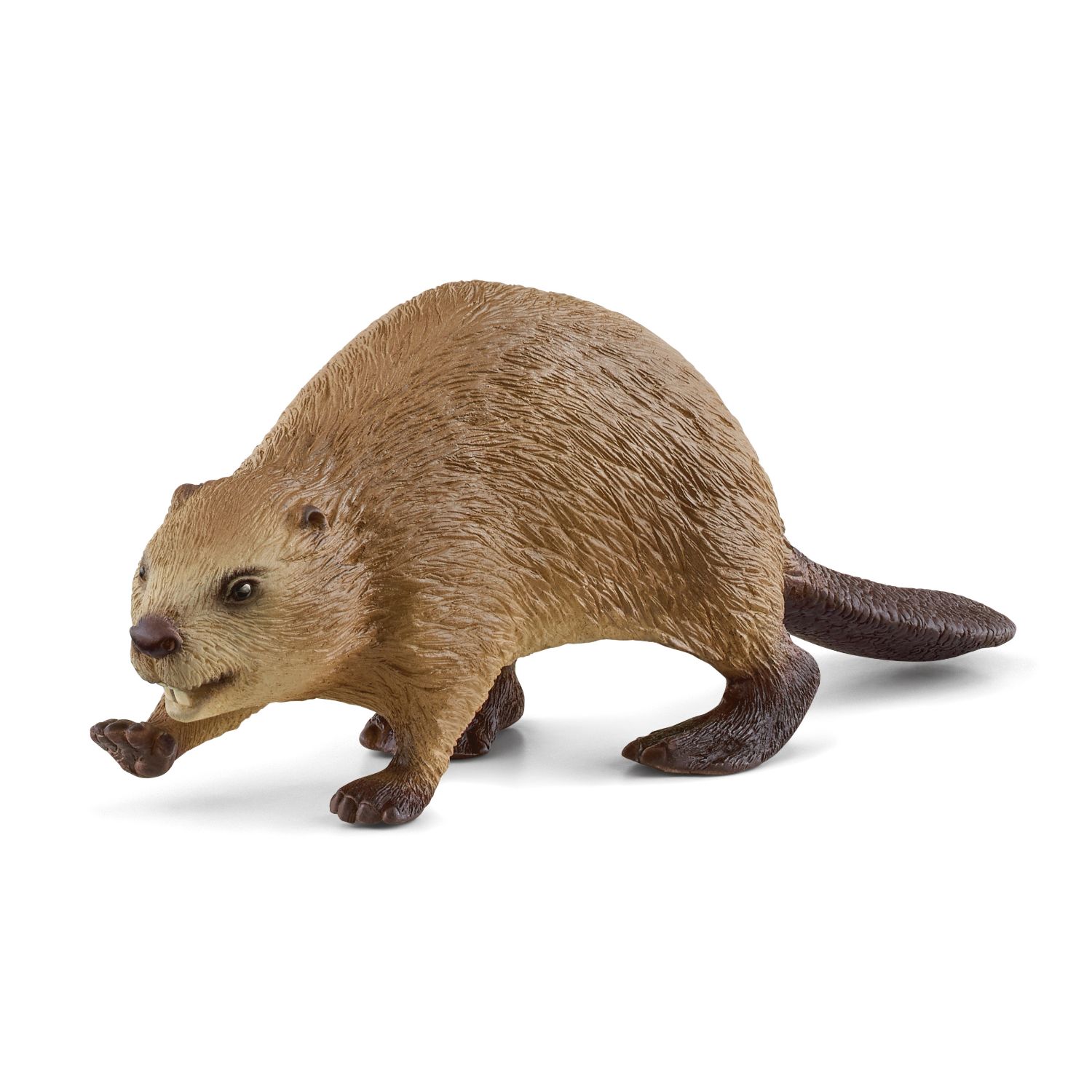 SCHLEICH 14855 BEVER