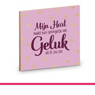 ONDERZETTER GELUK