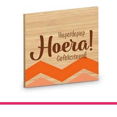 ONDERZETTER HOERA