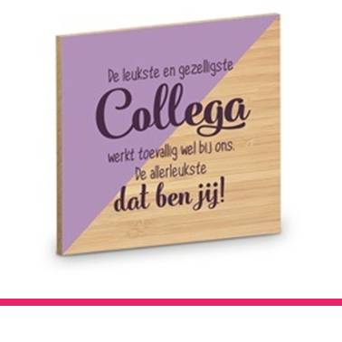 ONDERZETTER COLLEGA