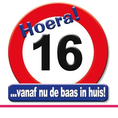 HULDESCHILD 16 JAAR VERKEERSBORD